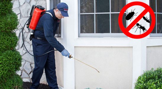 Seben Kemirgen İlaçlama böcek ilaçlama ve haşere kontrolü — ilaclama-tr.com